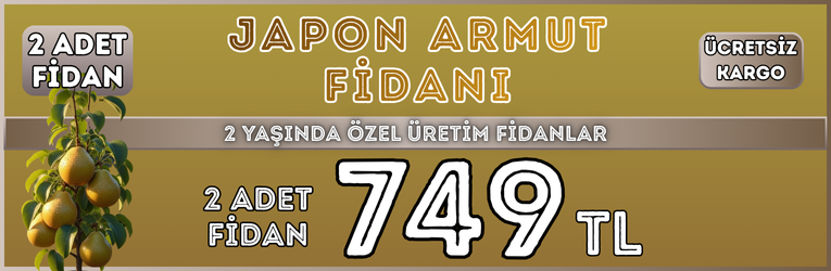 2 Adet Japon Armut